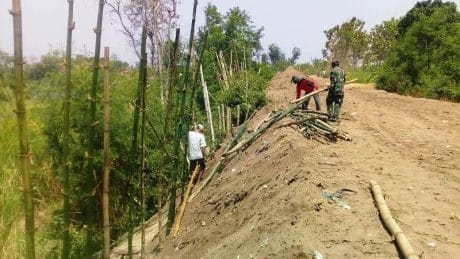 Jelang Musim Hujan, Mitigasi Abrasi Tanggul Kali Pemali Dilakukan di 6 Titik Wilayah Wanasari Brebes