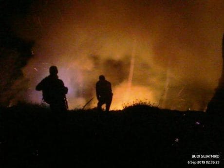 Hutan Pinus Perhutani Petak 15 F di Sirampog Brebes Terbakar