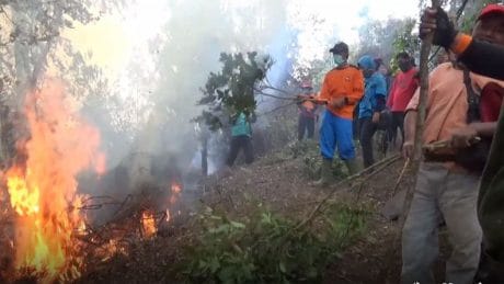 Wilayah kabupaten semarang Masih Aman dari Kebakaran Gunung Merbabu