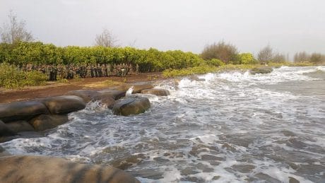 Cegah Abrasi Pantai Kodim Pekalongan Akan Tanam 18.000 Bibit Mangrove