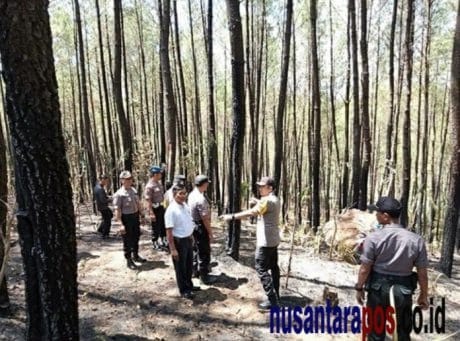 Kapolres Trenggalek : Masyarakat Harus Waspadai Karhutla