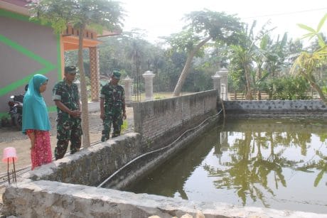 Jika TMMD Selesai Bu Dayat Yakin Budidaya Ikan Guramenya Meningkat