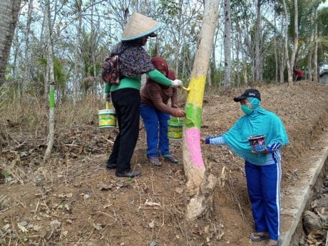 Ternyata Emak-Emak Lihai dalam Pengecatan