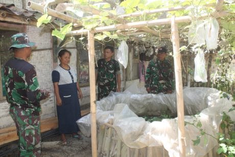 Kreativitas Bu Narti, Jadi Perhatian Babinsa di Pra TMMD Kodim Cilacap