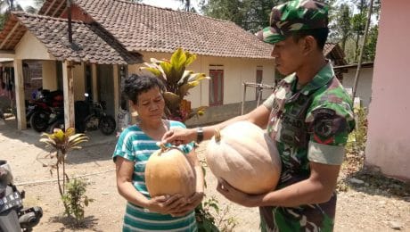 Bu Darkem Bersama Babinsa Tunjukkan Hasil Panen Waluh di Pra TMMD 106 Kodim Cilacap
