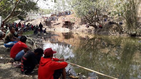 Lomba Mancing Tumpah Ruah di Wisata Krama Cenil Sungai Beber