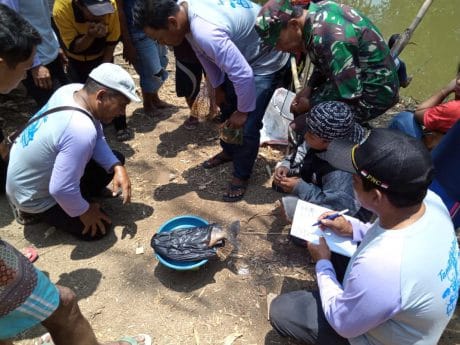Lomba Mancing Sambut TMMD 106 Kodim Cilacap Selesai, Danramil Jeruklegi bersama Juri Cek Hasil Peserta Lomba