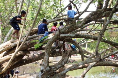 Tak Puas Melihat Lomba mancing Menyambut TMMD 106 Kodim Cilacap dari Bawah, Anak-anak Panjat Pohon