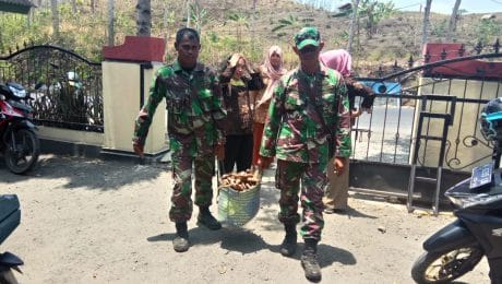 Habis Panen Singkong, Dua TNI Ini Bantu Bawa ke Rumah