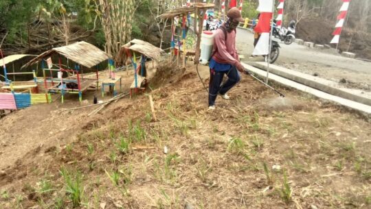 Suwarno Potong Rumput di Lokasi Wisata Pemancingan Program TMMD 106 Kodim Cilacap