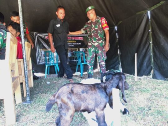 Usaha Kambing Milik Setyo Wahono Dipamerkan Dalam Rangkaian Upacara Pembukaan TMMD ke-106