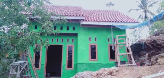 Warna Hijau Menambah Kedamain di Rumah Pak Boyani
