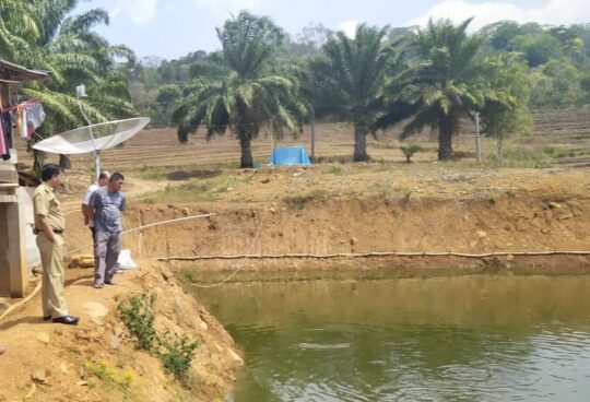 Wujudkan Kampung Nila, Pemkab Lampura Tinjau Petani Ikan di Sido Kayo