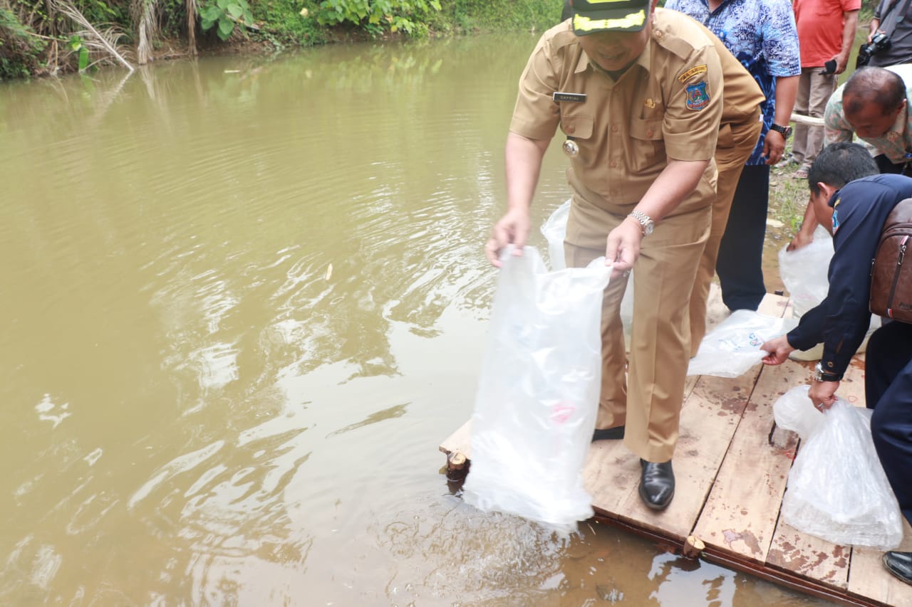 Bupati Safrial Tebar 30.000 Benih Ikan Air Tawar di Desa Suban
