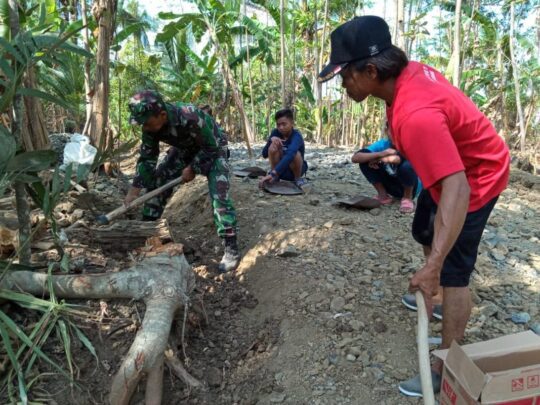 Sebelum Digelar Material  TNI – Warga Bersihkan Jalan dari Akar Pepohonan di Lokasi TMMD 106 Kodim 0703 Cilacap