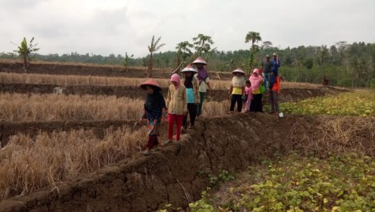 Jauhnya Kaki Melangkah, Tak Surutkan Impian Kami Bantu Pengerjaan TMMD