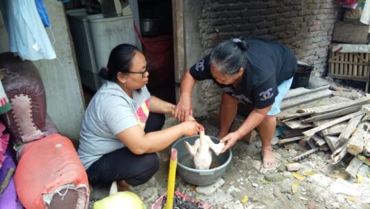 Demi TMMD, Relakan Sembelih Ayam Jago Piaraan