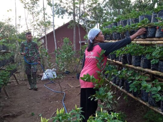 Anggota Satgas TMMD Prada Makatita Bantu Siram Tanaman Milik Kadus Kalirau