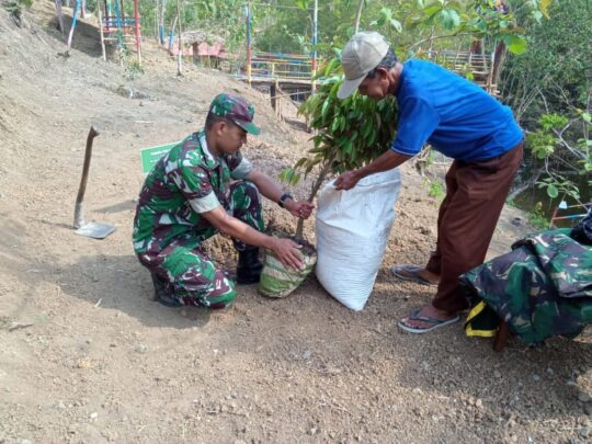 Bibit Durian Ditanam Wisata Krama Cenil Lokasi TMMD 106 Kodim Cilacap