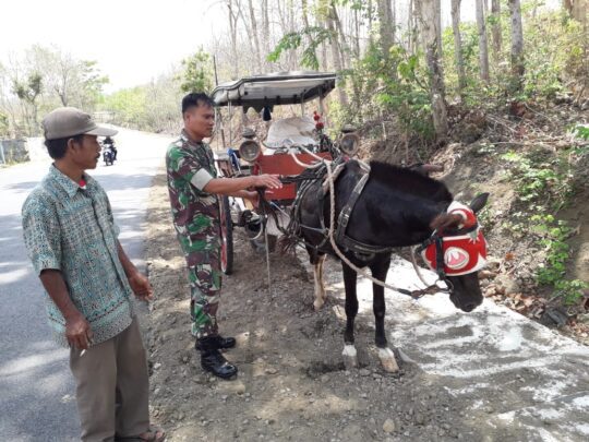 Unik, TMMD Cilacap Sulap Delman Jadi Kendaraan Perpustakaan