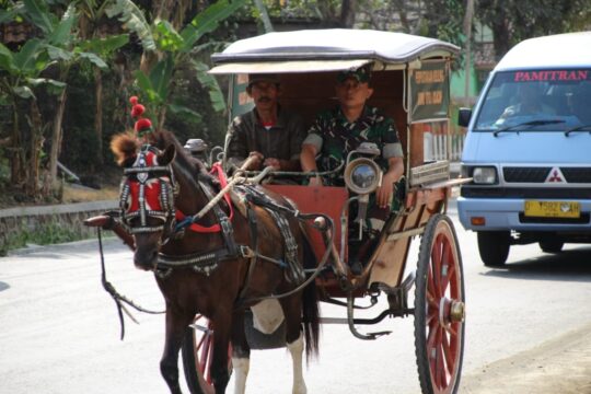 Kreatifitas dan Inovatif, Tarik Minat Baca Anak Gunakan Delman Untuk Transportasi Perustakaan Keliling