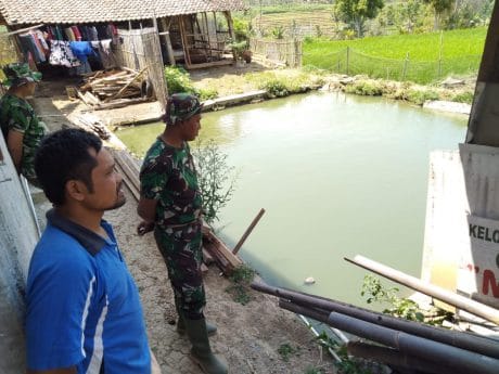 Anggota Satgas TMMD ke-106 Sambangi Kolam Nila Pak Slamet