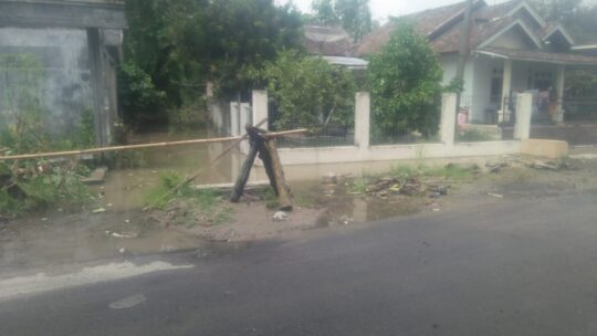 Rumah Warga Desa Sri Pendowo Tergenang Air