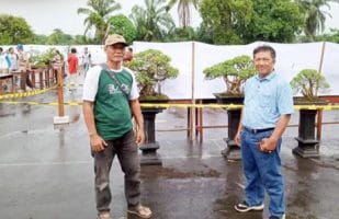 Pemkab Lampura Dukung Pameran dan Kontes Bonsai Sakai Sambayan