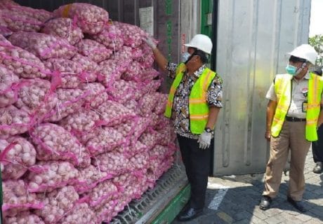Harga Bawang Putih Masih Tinggi, GINSI Siap Hadirkan Importir di Luar Kartel