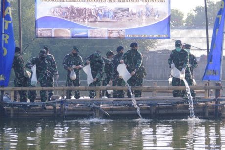 Penaburan Benih Ikan Bandeng di Posal Tanjung Pasir