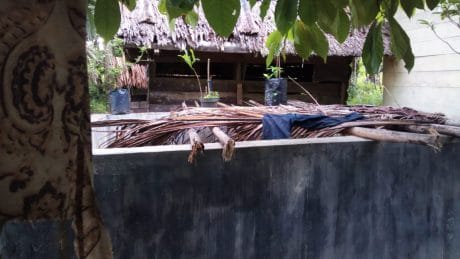 Budidaya Ikan Tahap Tiga Dinantikan Warga Gampong Ladang