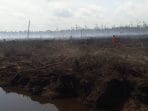 Diduga Langgar Intruksi Presiden dan Permen KLHK, Lahan Gambut Hangus Terbakar Di Konsesi PT. Arara Abadi