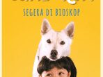 “June dan Kopi”, Kisah Anjing dan Manusia yang Menghangatkan