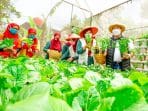 Ini Kawasan Pertanian Terpadu “Sekemala Integrated Farming” di Bandung