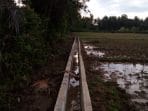 Pembangunan Saluran Air sawah Di Gampong Ladang Sudah Dirampungkan