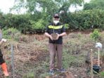 Bupati dan Wabup Bersama Kapolres Tanjung Jabung Barat Tanami Ratusan Mangrove di Desa Tungkal Satu