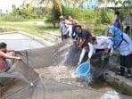 Kerjasama Riset Wujudkan Pasaman sebagai Sentra Ikan Air Tawar Terbesar di Sumatera