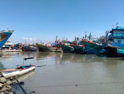 Penumpukan Kapal Perikanan di Tegal, KKP Koordinasikan dengan Pemda