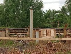 Ketua LSM PETISI Angkat Bicara Terkait Pembangunan GOR di Desa Pembengis