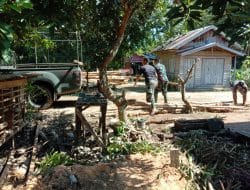 Menggunakan Randis untuk Pergeseran Material