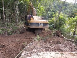 Hutan Belantara Disulap Jadi Jalan