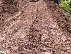 Cuaca Cerah membantu Kerja Ekskavator Membuat Jalan Baru Kodm 0212 Tapsel