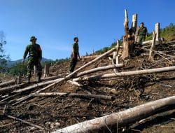 Mendeteksi Kebakaran Apa Baru atau Lama dengan Cermat