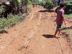 Persiapan Tanah Dasar Untuk Pengerasan Jalan Sejauh 1286 meter