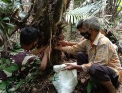 Pemdes Siuhom Siap Fasilitasi Petani Salak
