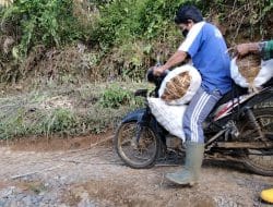 Fleksibelitas Diperlukan dalam Pembangunan