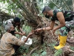 Mata Pencaharian Penduduk Desa Siuhom Berkebun