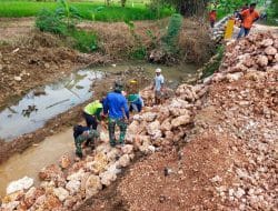 Cuaca Cerah dan Teduh Kerja Jadi Nyaman