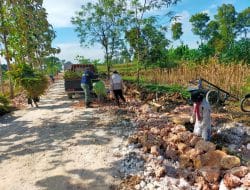 Sebagian Kerja, Sebagian Memetik Hasil Panen