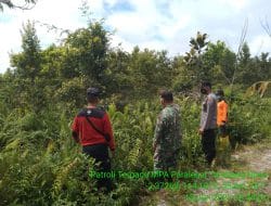 Anggota Koramil 15/Kahayan Hilir Lakukan Pengecekan Daerah Rawan Karhutla